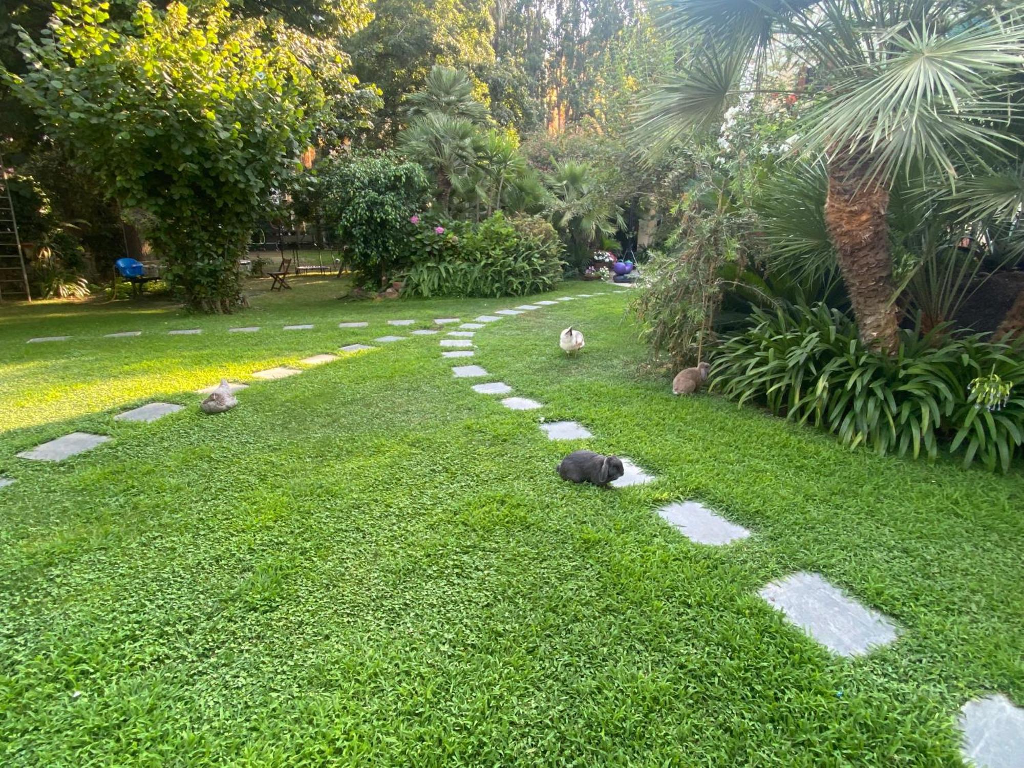 Villa Angelina Casa Limone فاليكروسيا المظهر الخارجي الصورة